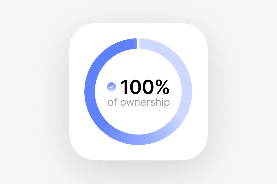 Donut chart indicating 100% of ownership with a blue filled circle.