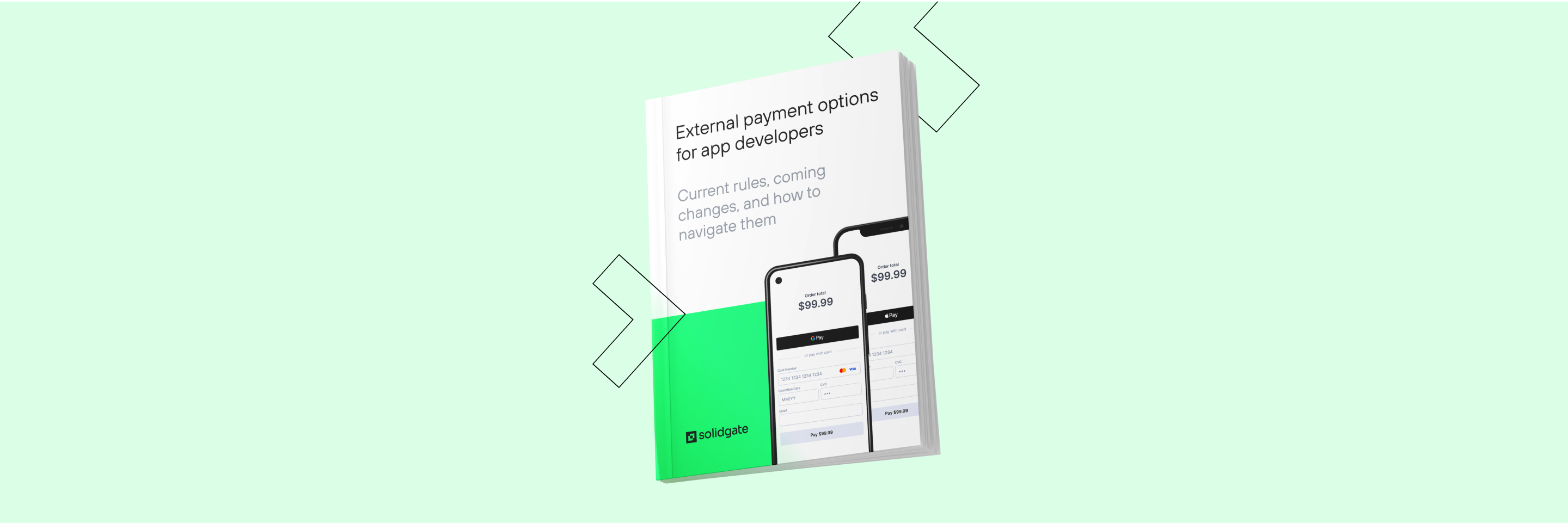 In-Depth Report: External Payment Options for App Developers
