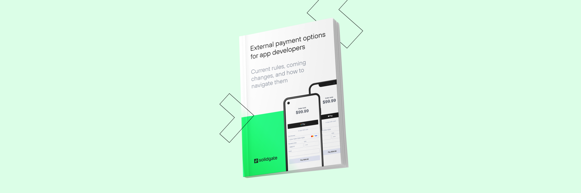 In-Depth Report: External Payment Options for App Developers